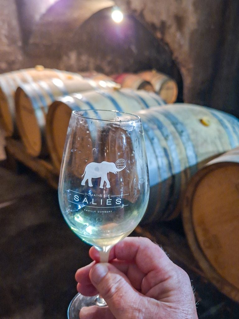 Wine tasting at Salies winery