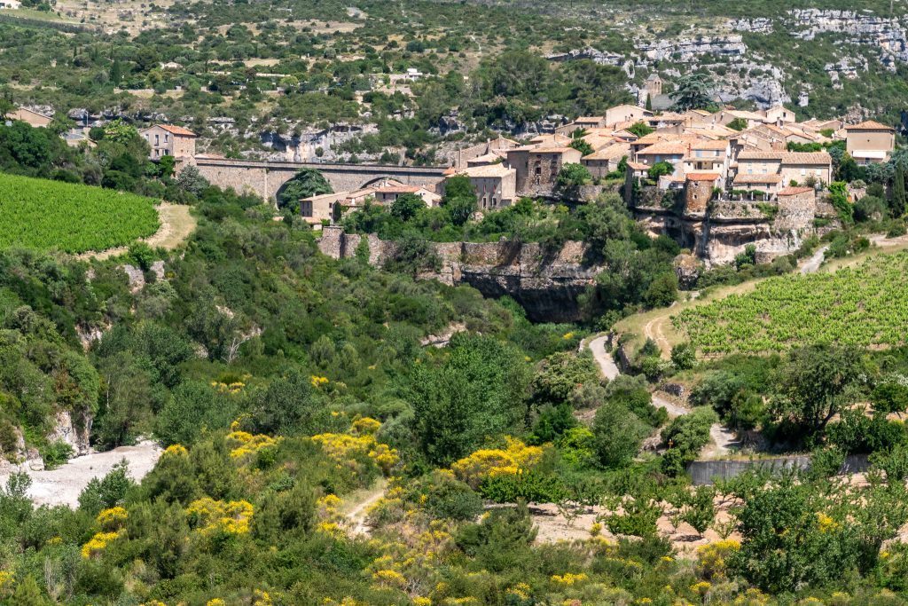 First view of Minerve