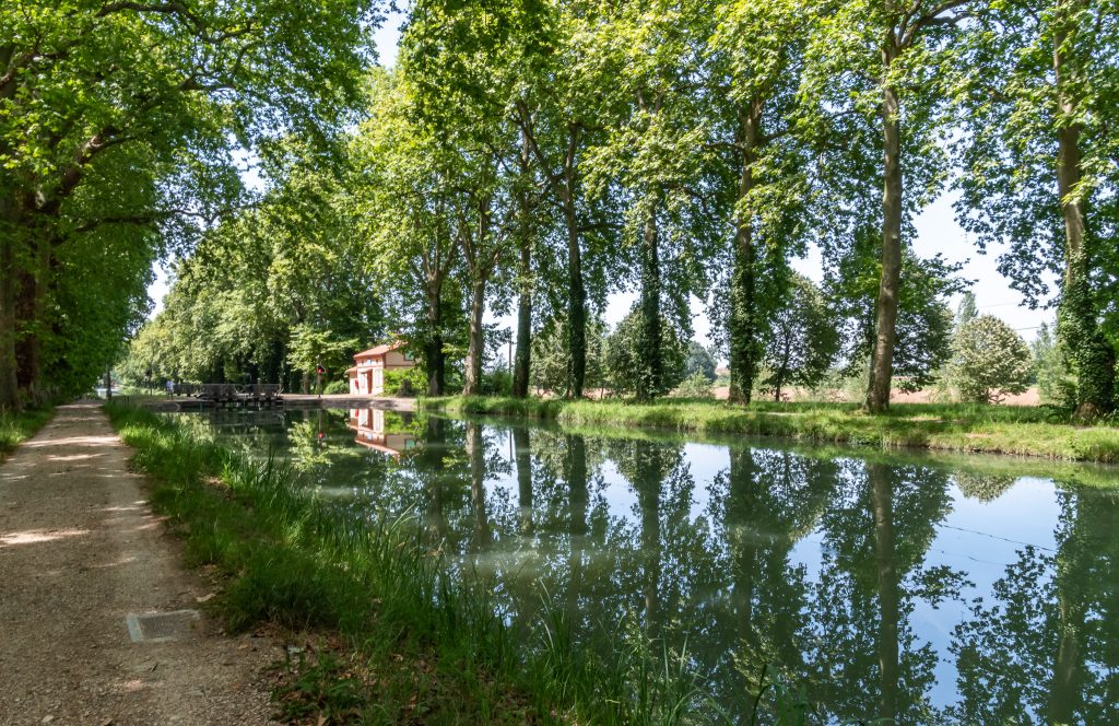 The shaded towpath along the Garonne Canal