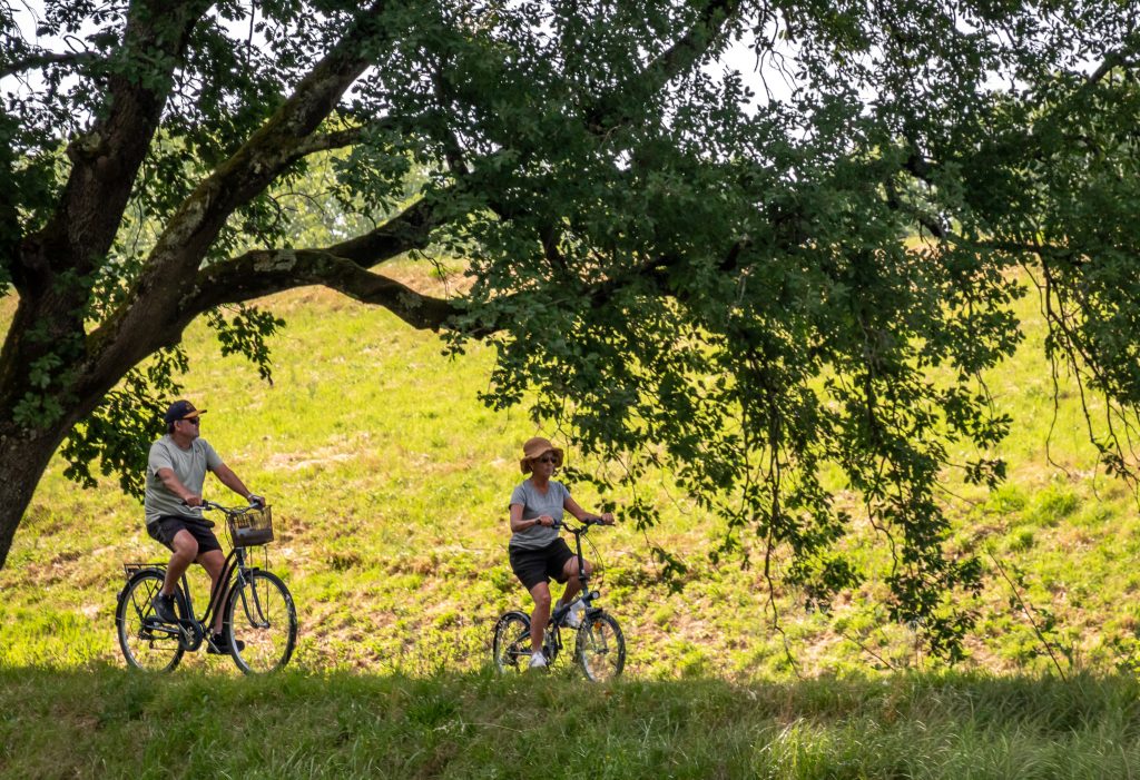 Biking along the canal