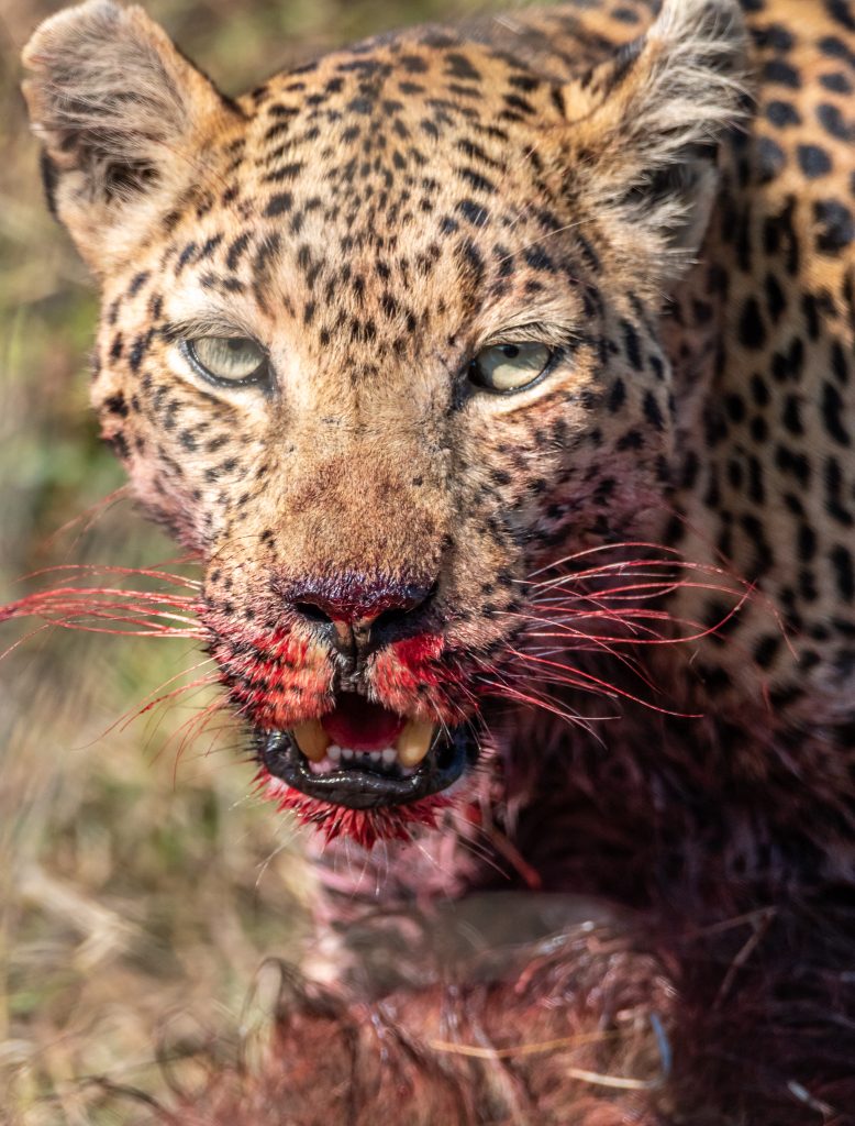 The look of a killer
